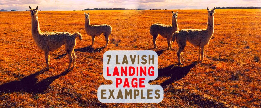 landing page examples